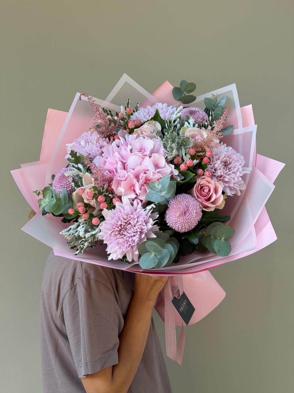 Pink Central Hydrange